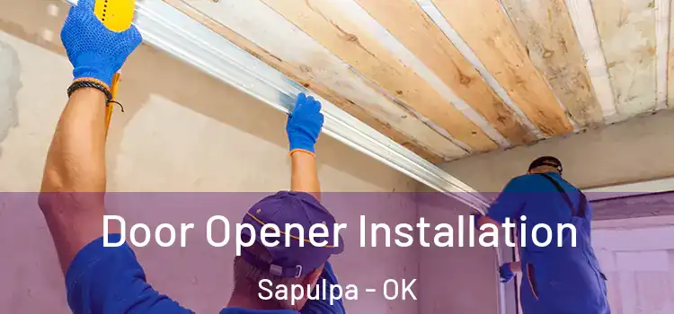  Door Opener Installation Sapulpa - OK