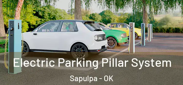  Electric Parking Pillar System Sapulpa - OK