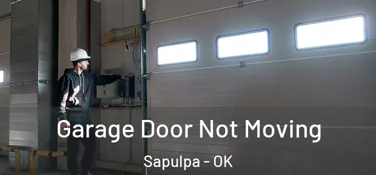  Garage Door Not Moving Sapulpa - OK