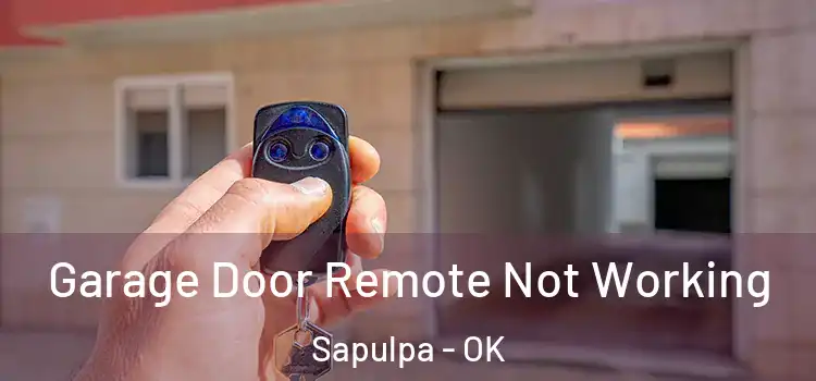  Garage Door Remote Not Working Sapulpa - OK