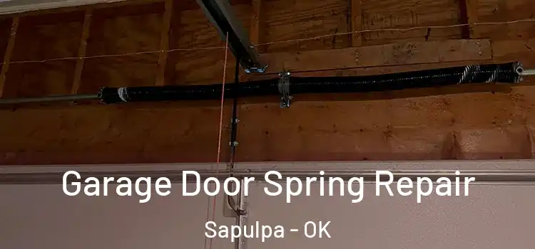  Garage Door Spring Repair Sapulpa - OK