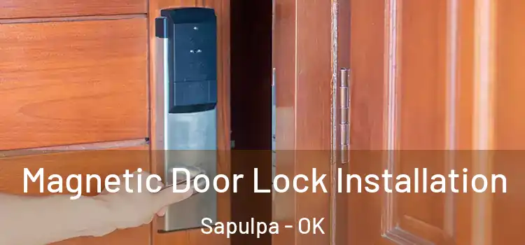  Magnetic Door Lock Installation Sapulpa - OK