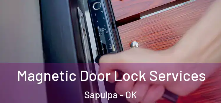  Magnetic Door Lock Services Sapulpa - OK